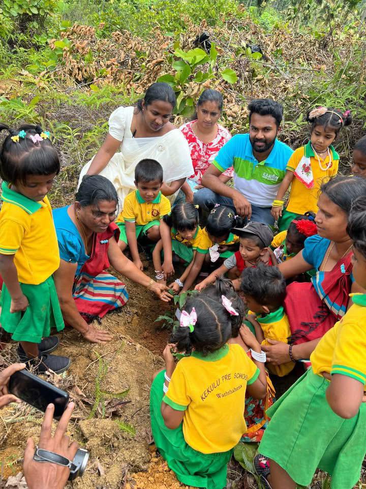 පැළයක් සිටවමු. තුරුලිය පිරි සුන්දර පරිසරයක් ගොඩනගමු. 🌏🌴🌲