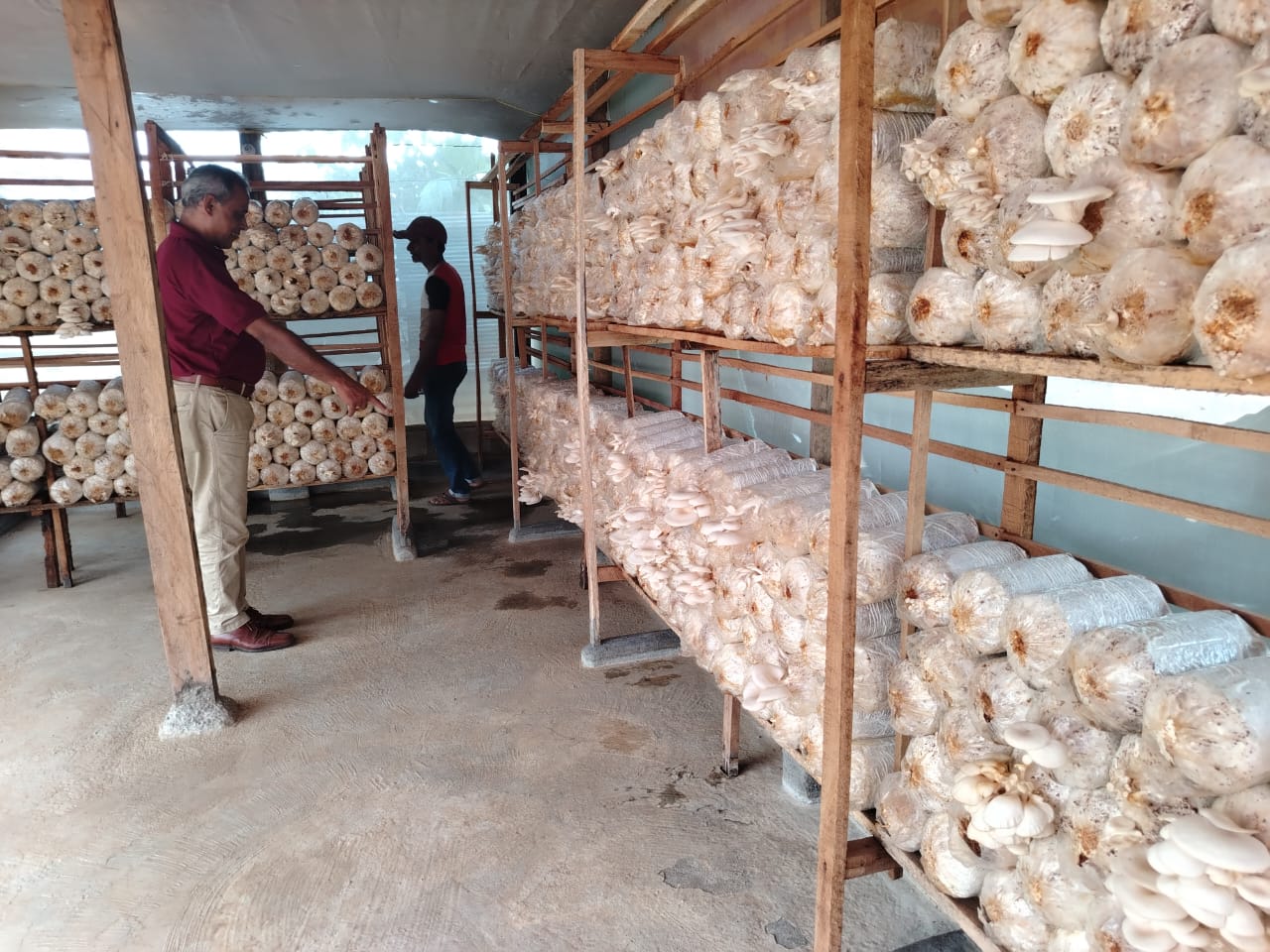 Sri Lanka Land Development Authority’s 2025 Development Program – Matale District