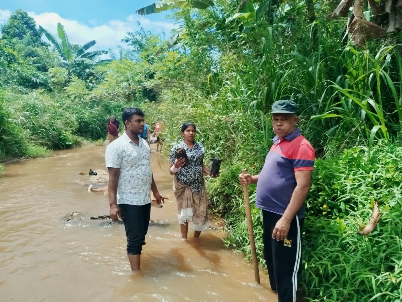 Tree Planting Program Aranayake Divisional Secretariat