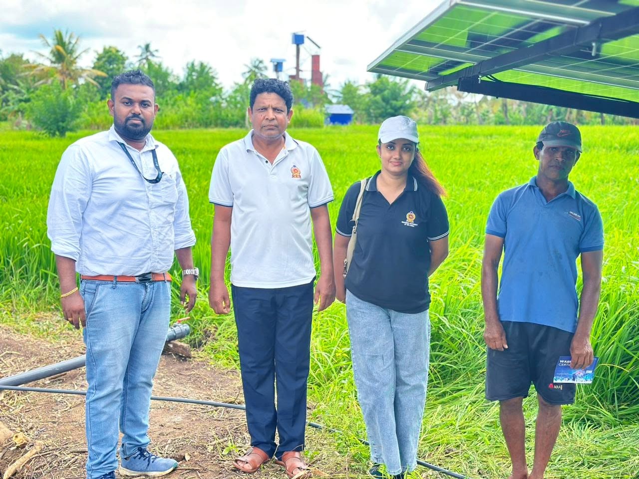 A proper project for growing chili using sustainable agricultural technology