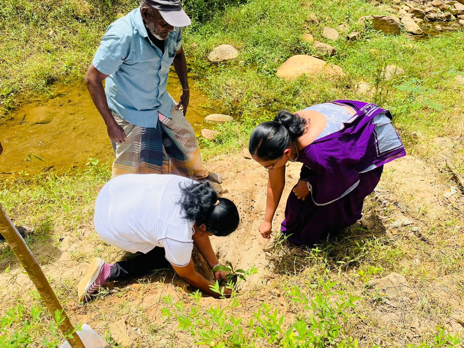 On the occasion of World Environment Day falling on 2026-06-05, a series of environmental programs from the heart…