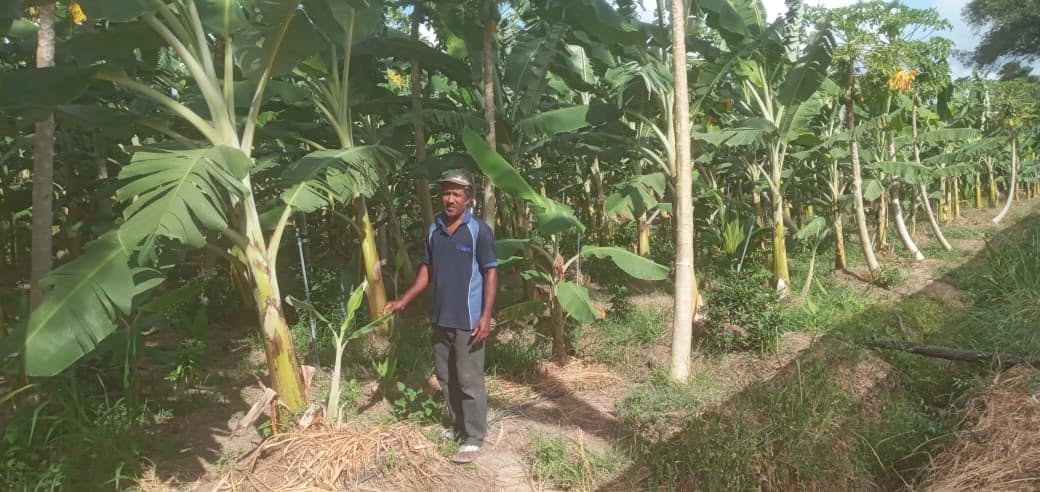 2026 Fruit Villages Project – Sri Lanka Land Authority
